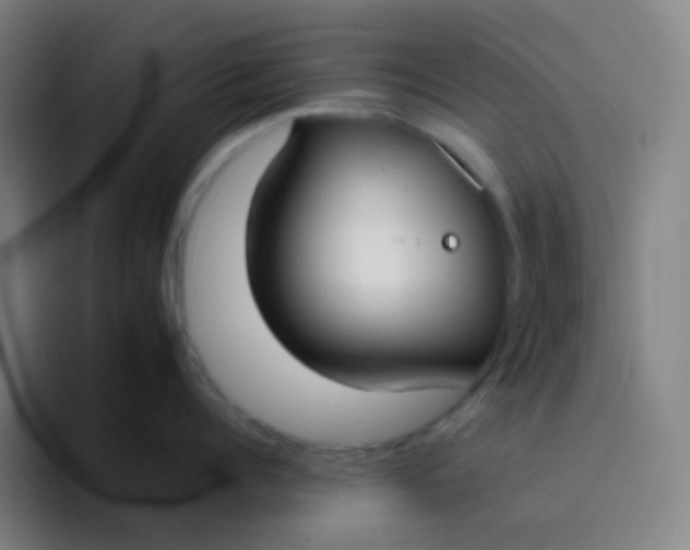 X0000094320960200711161927