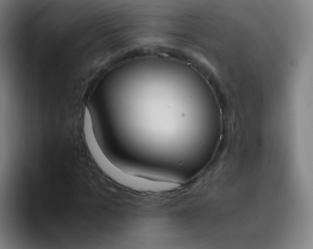 X0000094320965200711161926