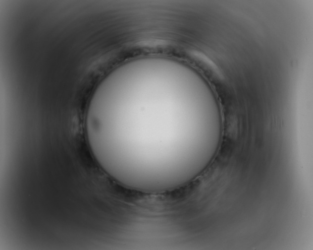 X0000094320966200711161926