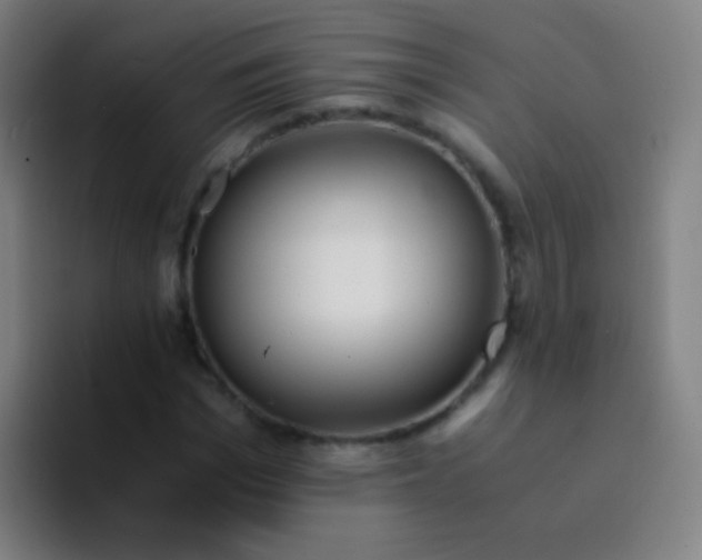 X0000094320969200711161926