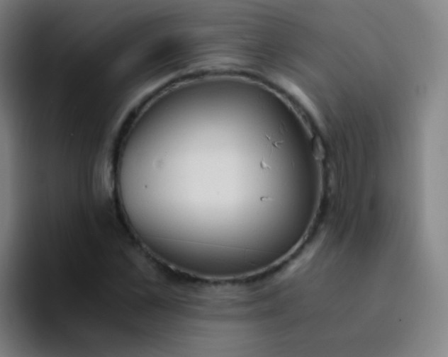 X0000094320973200711161926