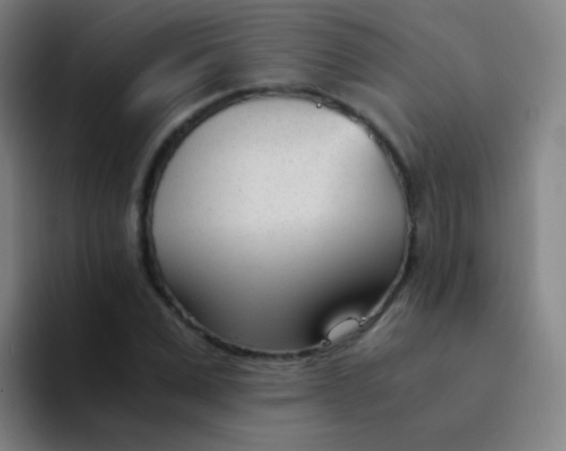 X0000094320975200711161926
