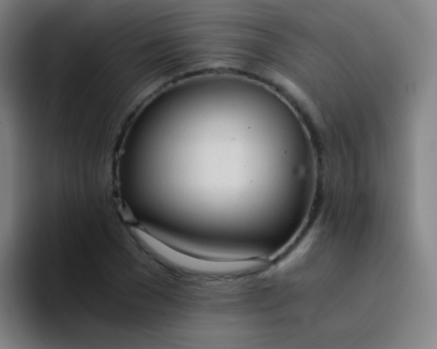 X0000094320977200711161926