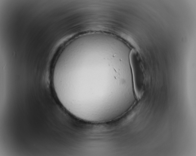 X0000094320979200711161926