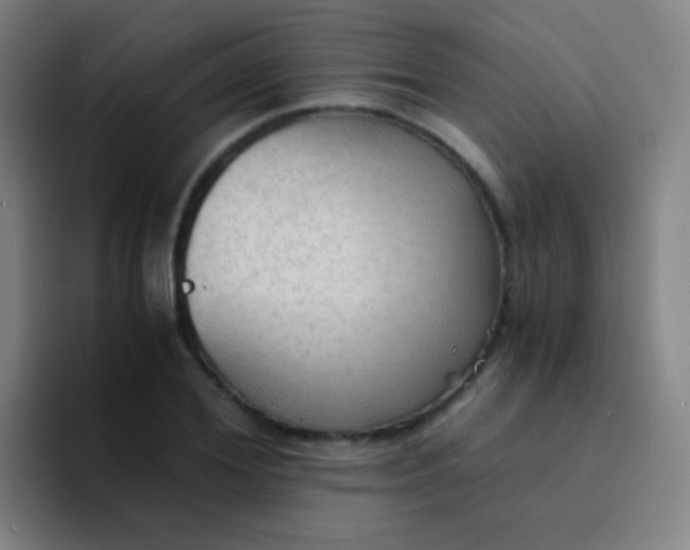 X0000094320980200711161926