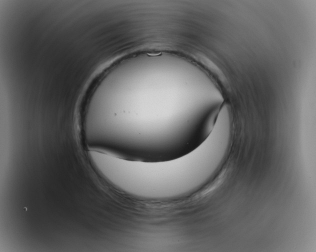 X0000094320981200711161926