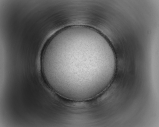 X0000094320982200711161926