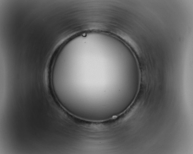 X0000094320983200711161926