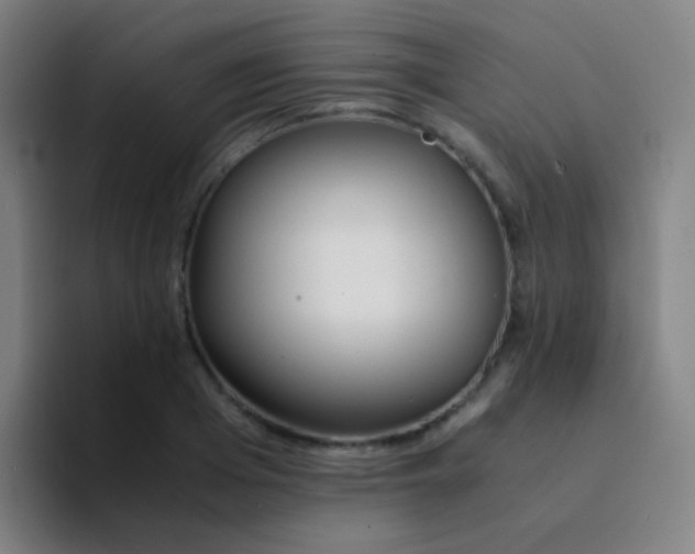 X0000094320985200711161926