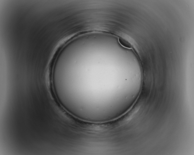 X0000094320987200711161926