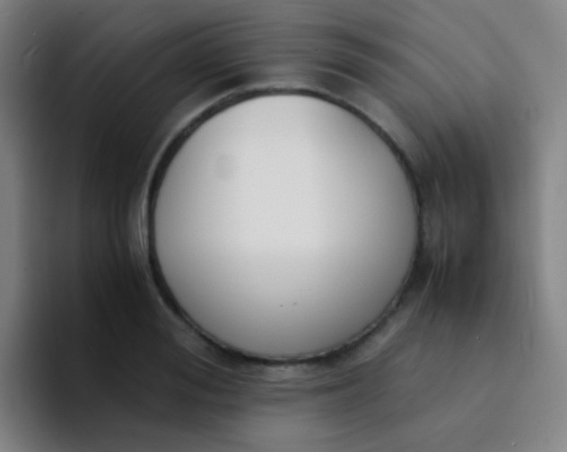 X0000094320988200711161926