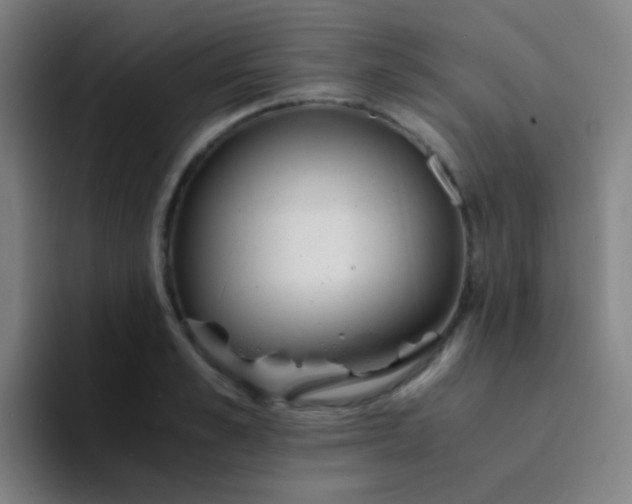 X0000094320989200711161926
