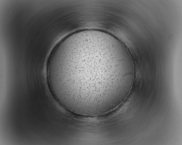 X0000094320990200711161926