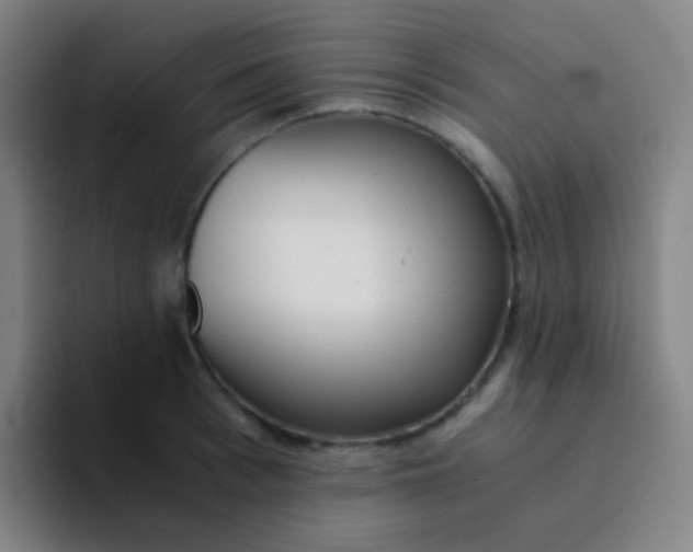 X0000094320993200711161926
