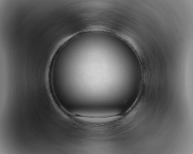 X0000094320995200711161926