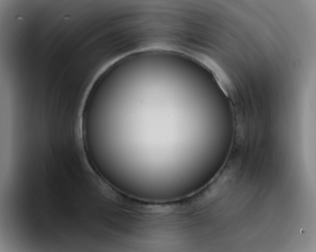X0000094320996200711161926