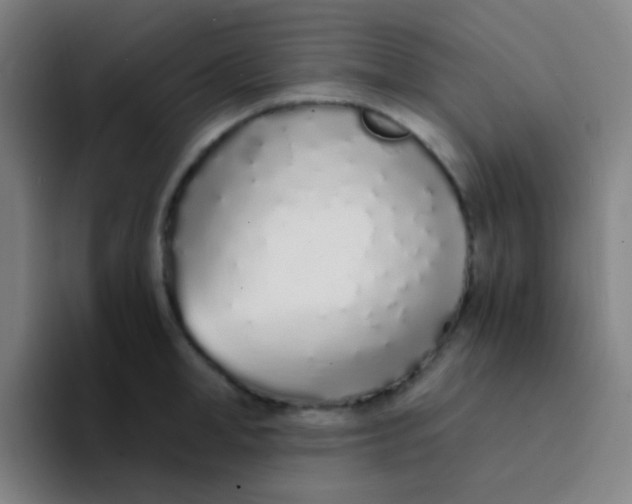 X0000094320998200711161926