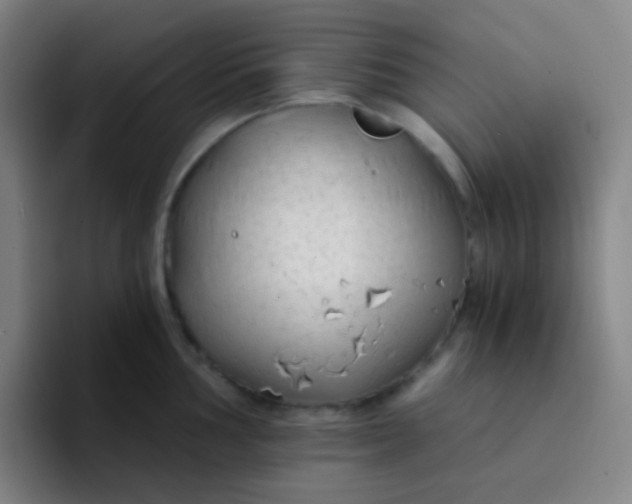 X0000094321002200711161926