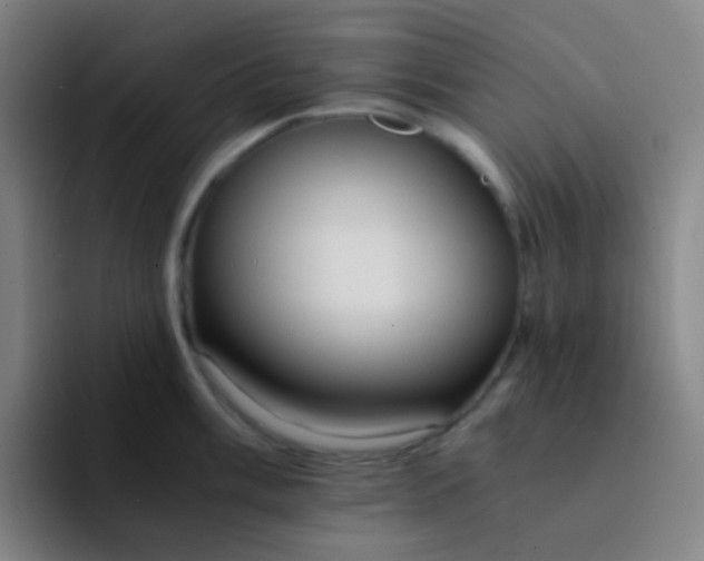 X0000094321003200711161925