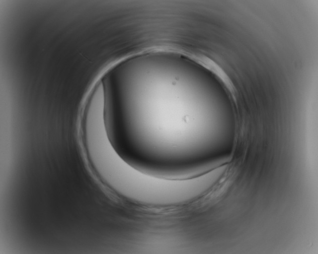 X0000094321005200711161925