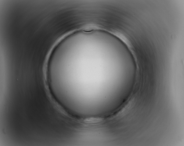 X0000094321008200711161925