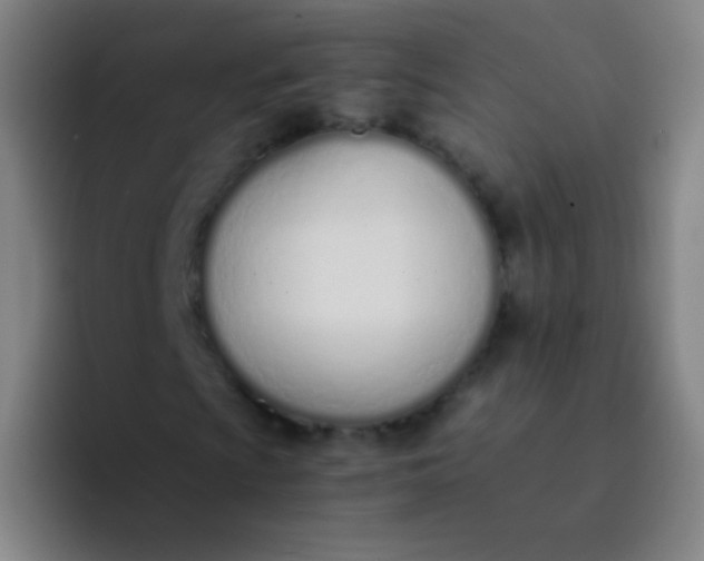 X0000094321009200711161925