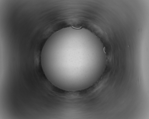 X0000094321012200711161925