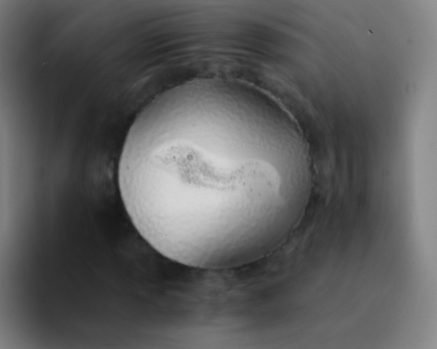X0000094321013200711161925
