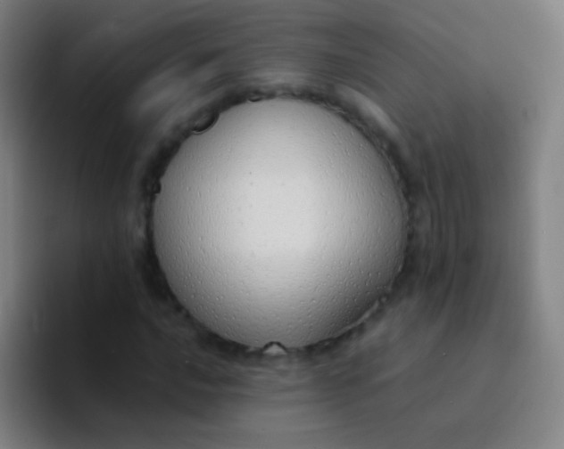 X0000094321016200711161925
