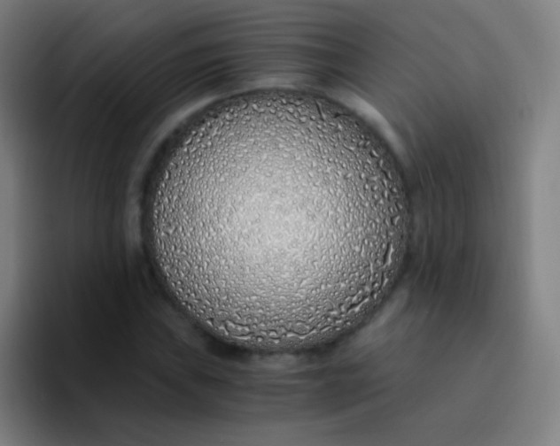 X0000094321019200711161925