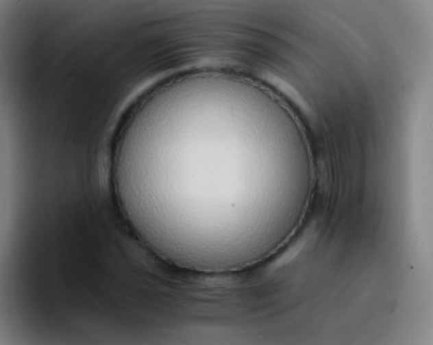 X0000094321021200711161925