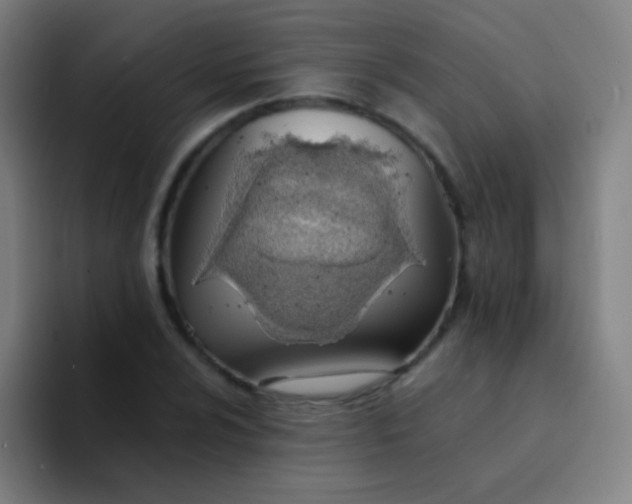 X0000094321024200711161925