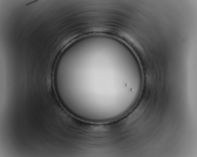 X0000094321025200711161925