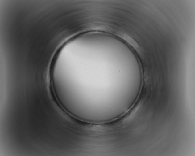 X0000094321028200711161925