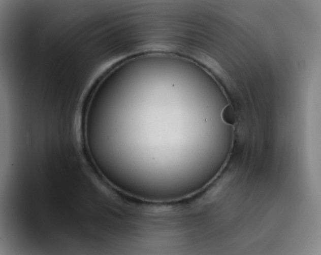 X0000094321030200711161925