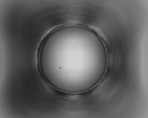 X0000094321031200711161925
