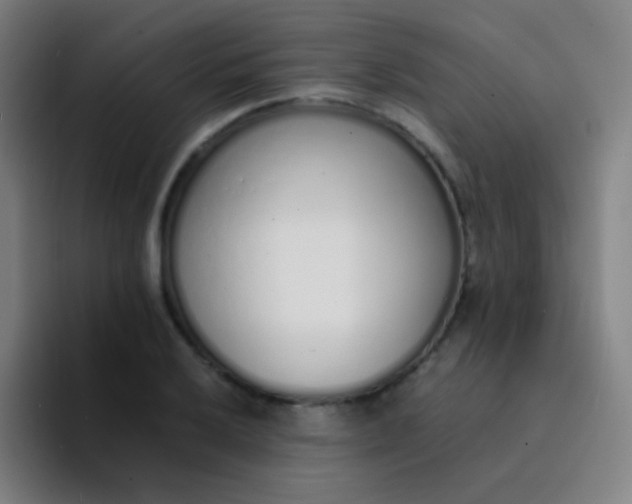 X0000094321032200711161925