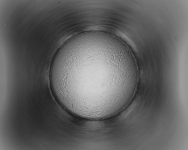 X0000094321033200711161925