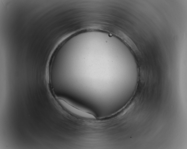 X0000094321036200711161925