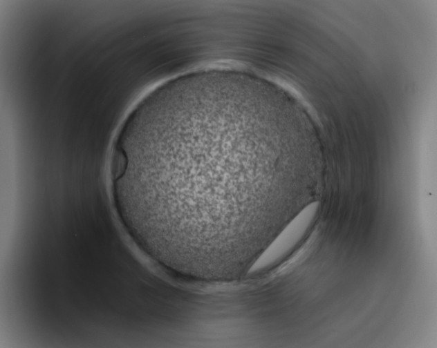 X0000094321038200711161925