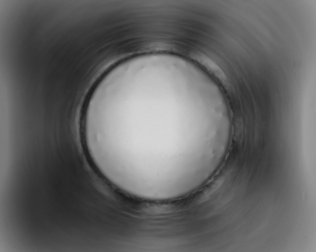 X0000094321039200711161925