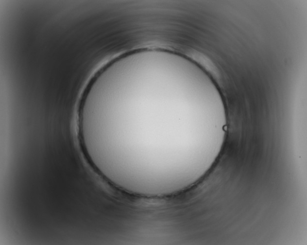 X0000094321040200711161925