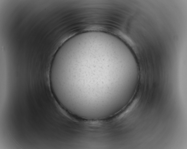 X0000094321041200711161925