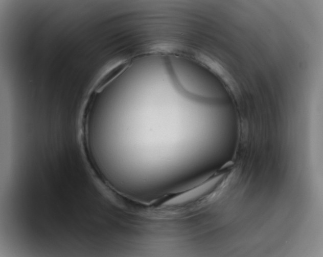 X0000094321042200711161925