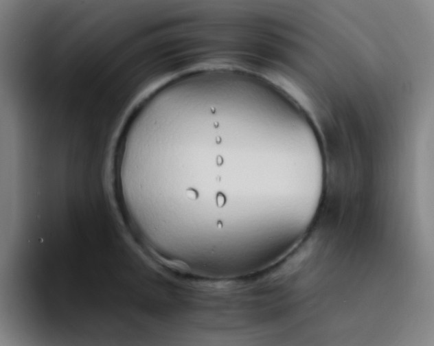 X0000094321045200711161925