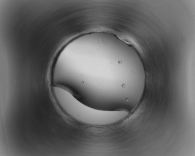 X0000094321046200711161925