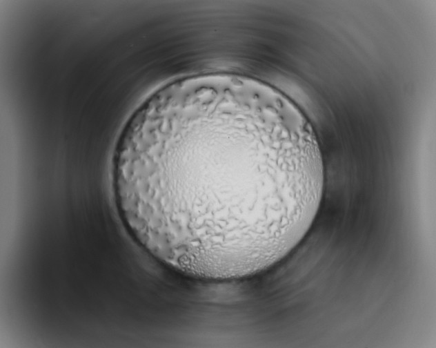 X0000094321047200711161925
