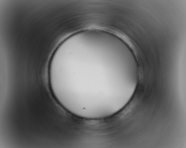 X0000094321048200711161925