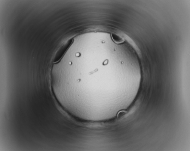 X0000094321049200711161925