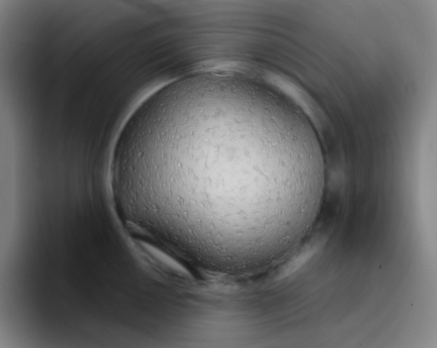 X0000094321050200711161925